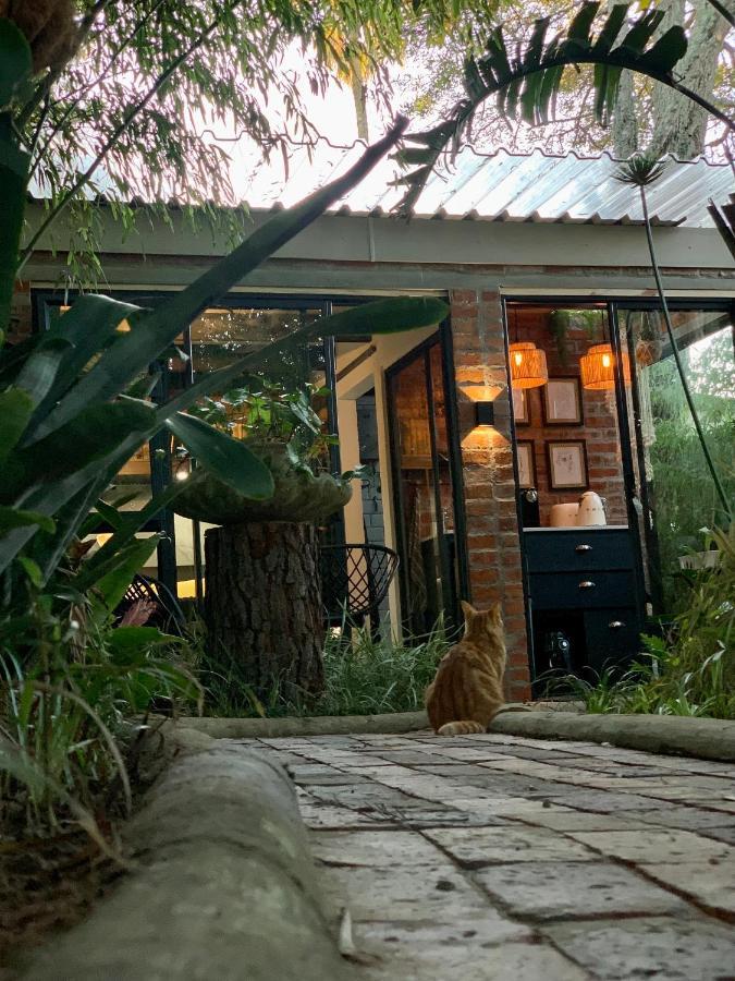 The Secret Garden Hideaway Apartment Mossel Bay Ngoại thất bức ảnh